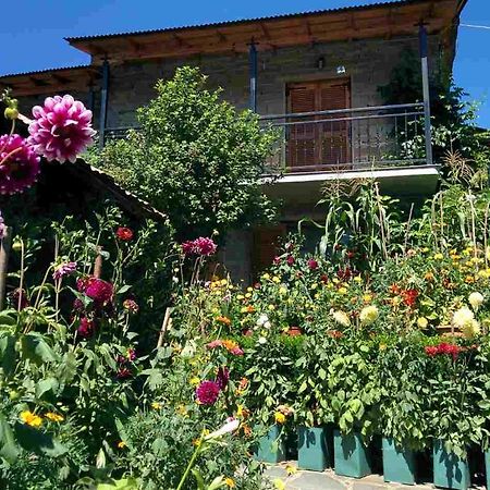 Guesthouse Gouris Tsepelovo Luaran gambar