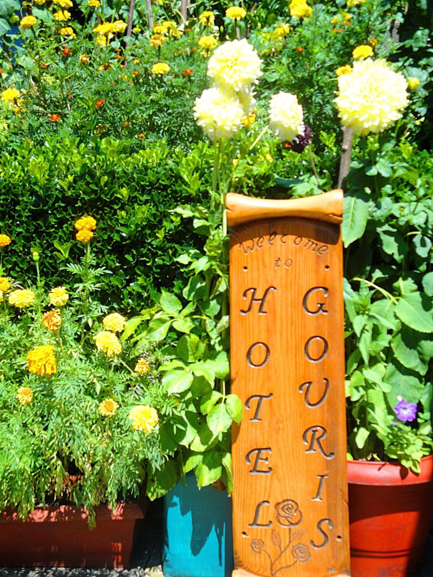 Guesthouse Gouris Tsepelovo Luaran gambar