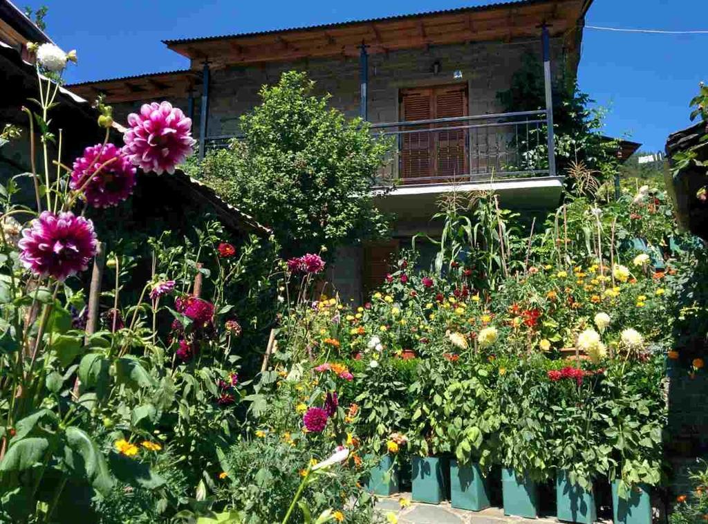 Guesthouse Gouris Tsepelovo Luaran gambar