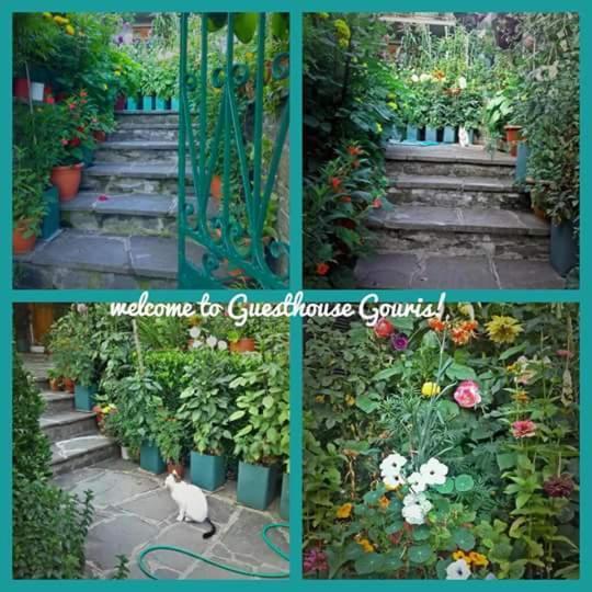 Guesthouse Gouris Tsepelovo Luaran gambar